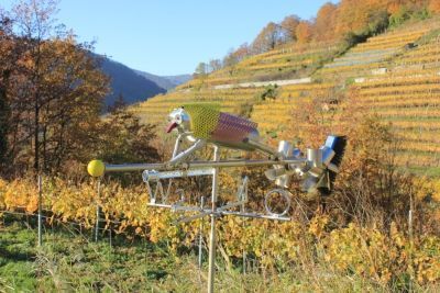 Kunst in der Wachau Foto: (c) life-science