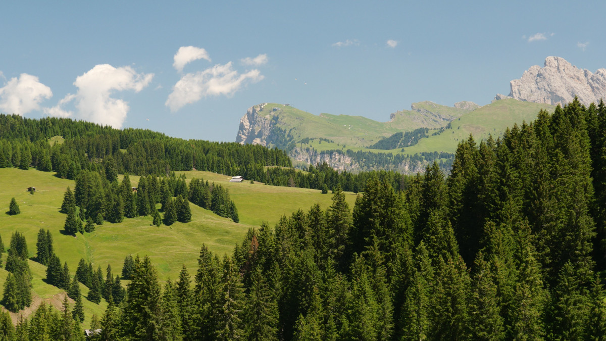 Foto: (c) Dirk Pothen / pexels.com